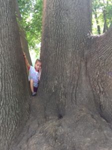 Got stuck in the tree and blamed it on me...go figure!