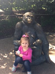 toledo zoo 3